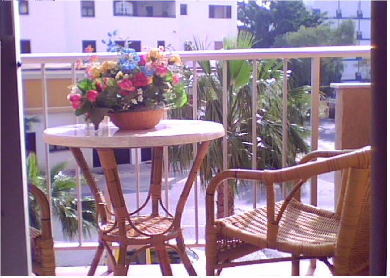 Estudio J-60, Terraza & 1º Planta 贝纳尔马德纳 外观 照片